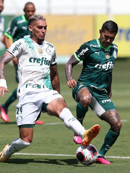 Rafael Navarro e Dudu disputam a bola em treino do Palmeiras  - Cesar Greco/Palmeiras