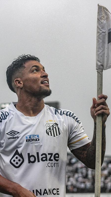 Santos sofre primeira perda após queda para série B e liga alerta