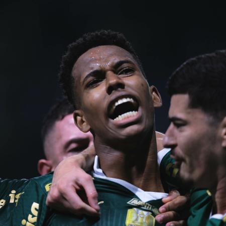 Estêvão comemora após marcar pelo Palmeiras contra o Botafogo-SP, pela Copa do Brasil