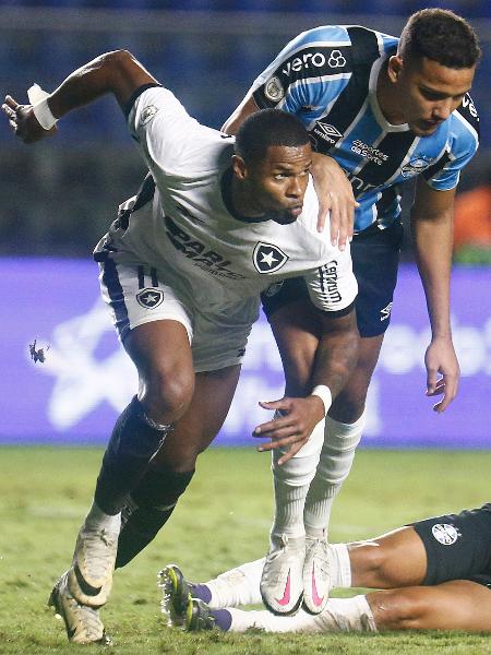 Júnior Santos, do Botafogo, comemora o gol sobre o Grêmio, pelo Brasileirão