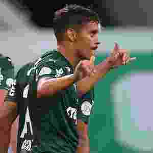 Cesar Greco/ Palmeiras