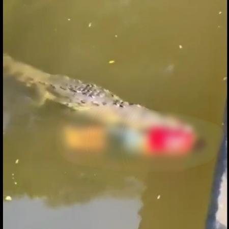 Crocodilo mata jogador de futebol que nadava em rio na Costa Rica