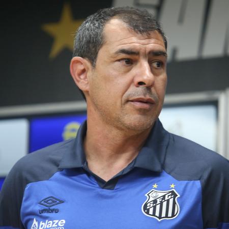 Fábio Carille foi contratado para comandar o Santos na temporada 2024