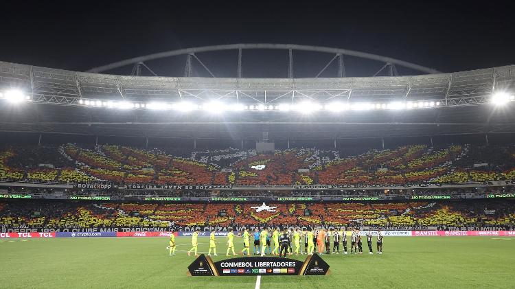 Mosaico da torcida do Botafogo teve uma ave em chamas