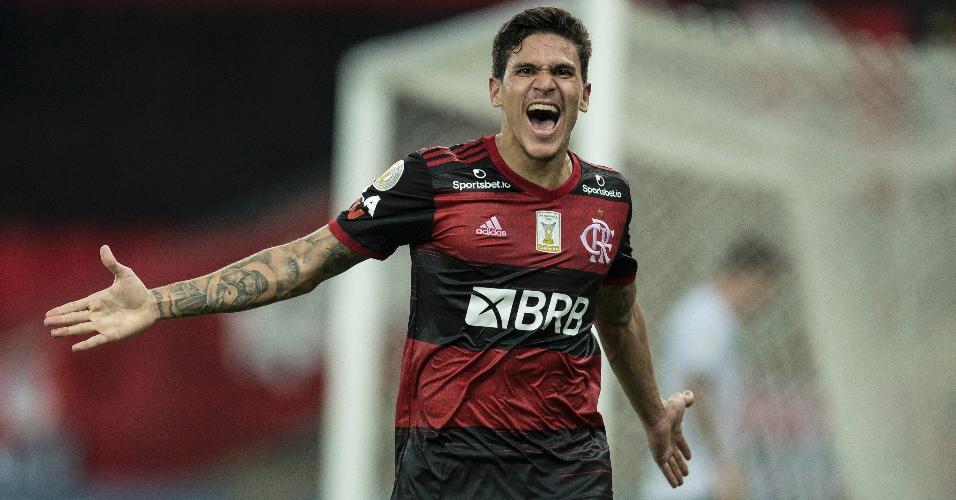 Pedro comemora o segundo gol marcado para o Flamengo contra o Goiás