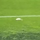 Torcedores jogam ratos mortos no gramado durante derrota em cl&aacute;ssico