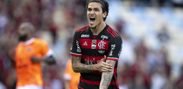 Pedro lidera conquista do Flamengo no campeonato Carioca; confira as avaliações.