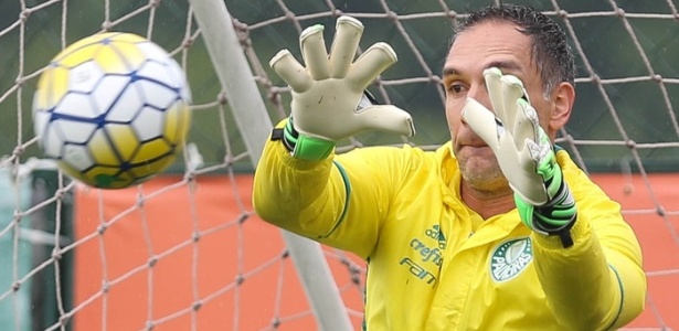 O goleiro Fernando Prass volta a treinar com luvas - Cesar Greco/Ag. Palmeiras/Divulgação
