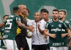 Palmeiras rebate presidente da FPF: "Querem engavetar o quanto antes" - THIAGO BERNARDES/FRAMEPHOTO/FRAMEPHOTO/ESTADÃO CONTEÚDO