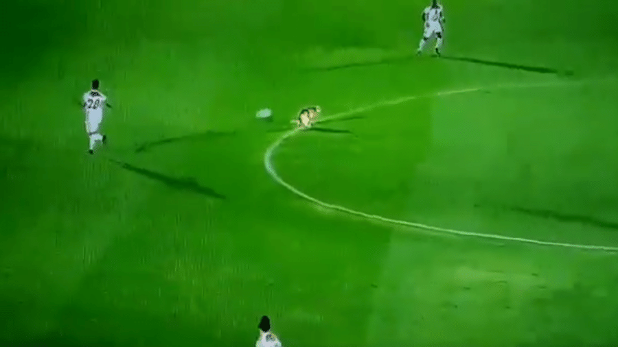 Cachorro usou gramado de banheiro durante partida do Campeonato Colombiano - Reprodução