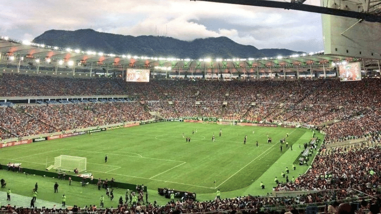Torcida do Fluminense deve bater recorde no "novo Maracanã" - Divulgação/Fluminense FC - Divulgação/Fluminense FC