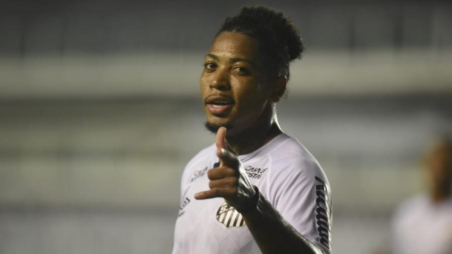 Marinho comemora gol marcado pelo Santos contra o Atlético-MG - Divulgação/Santos FC