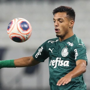 Cesar Greco/Palmeiras