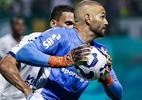 Palmeiras: Abel roda elenco, mas mantém pilares em mais de 70% dos jogos