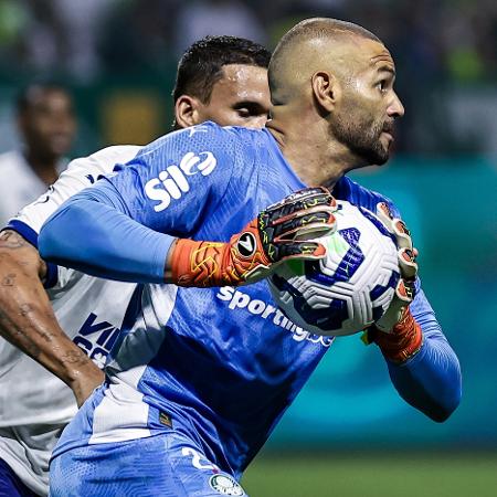 Weverton é o jogador do Palmeiras com mais partidas na temporada - Fabio Giannelli/AGIF