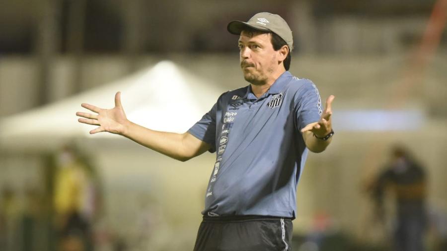 Técnico Fernando Diniz durante partida do Santos - Ivan Storti