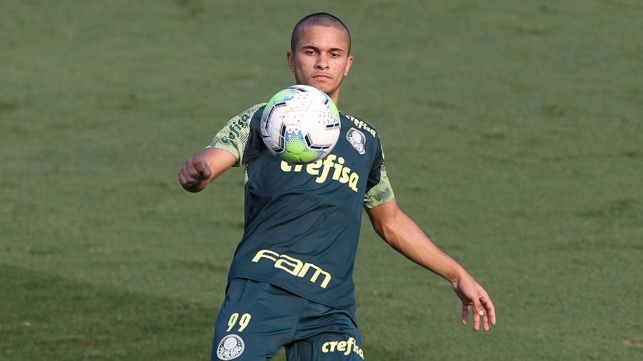 Gabriel Silva, atacante do Palmeiras - Cesar Greco