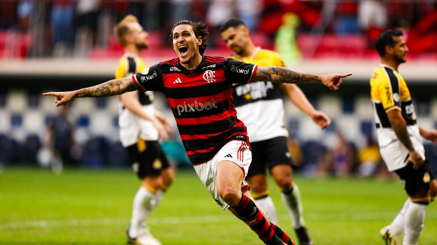 O jogador Pedro, do Flamengo, comemora após marcar seu gol sobre o Criciúma durante partida válida pela décima oitava rodada do Campeonato Brasileiro realizada no Estádio Mane Garrincha, em Brasília (DF)