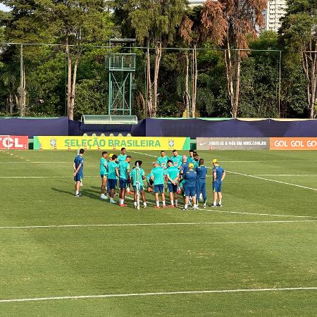 Treino da seleção no CT do Palmeiras - Eder Traskini/UOL