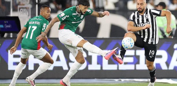 Palmeiras empata com Botafogo e vê Flamengo virar líder do Brasileirão