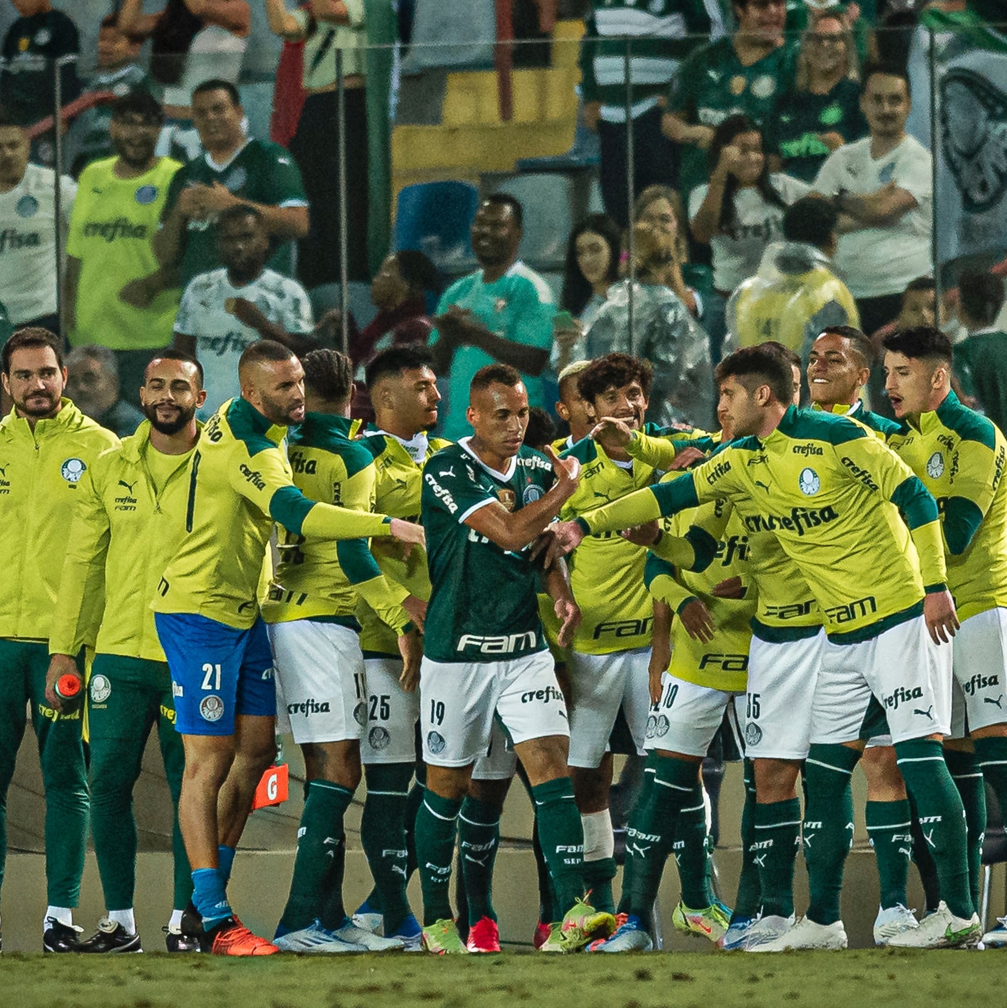 Palmeiras ganhou todos os jogos contra equatorianos no Brasil - JD1 Notícias