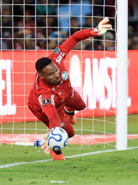 Carlos Miguel defendeu dois pênaltis na classificação do Palmeiras sobre a LDU