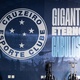Academia, balne&aacute;rio e varanda pro campo: a moderniza&ccedil;&atilde;o do CT do Cruzeiro