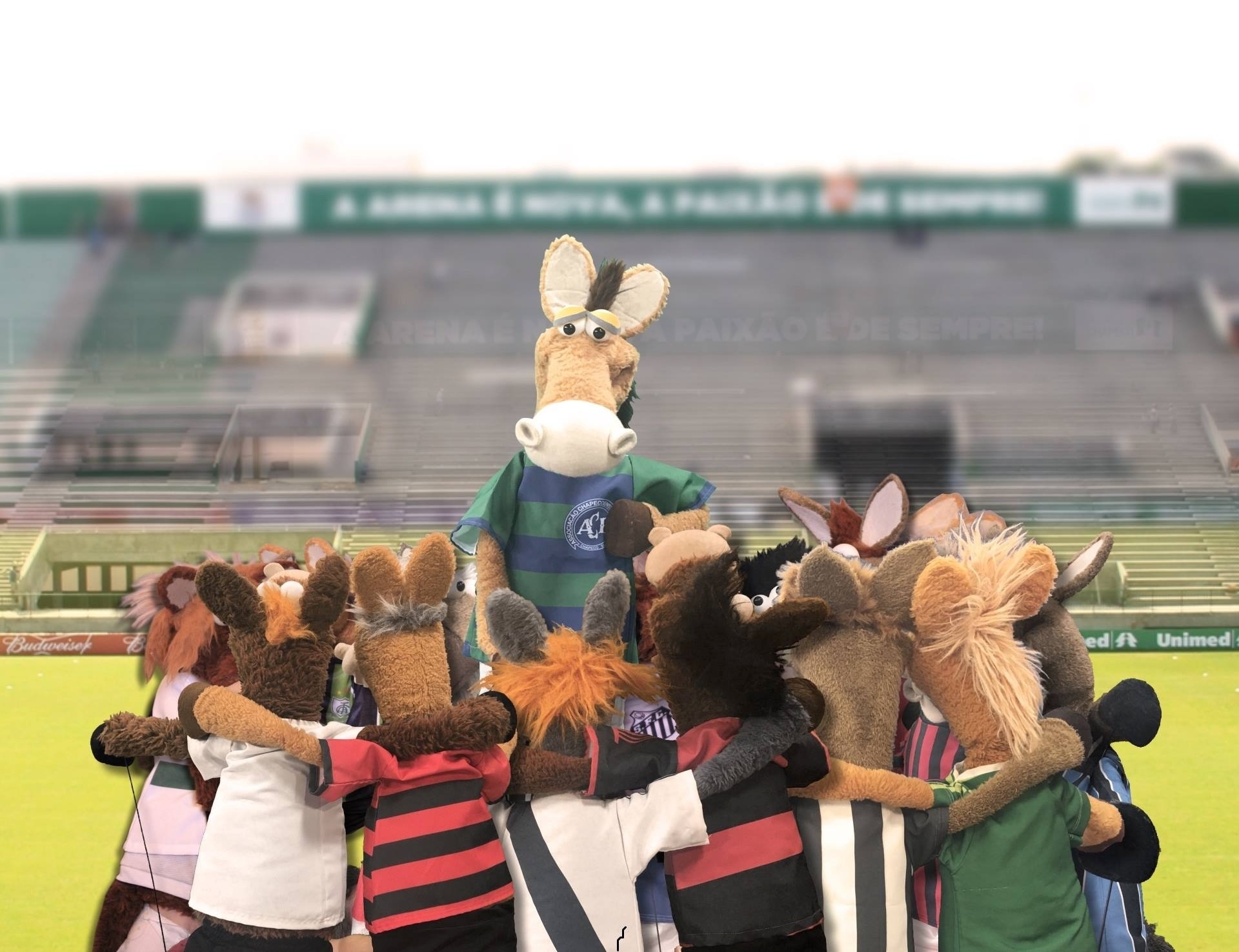 Pelo Facebook, programa "Fantástico", da Globo, homenageou a Chapecoense com os cavalinhos que representam os times brasileiros - Reprodução/Facebook