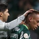 Por que Breno Lopes não é titular no Palmeiras mesmo elogiado por Abel