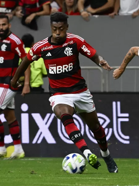 Flamengo x Santos: Árbitro explica expulsões e relata ofensa