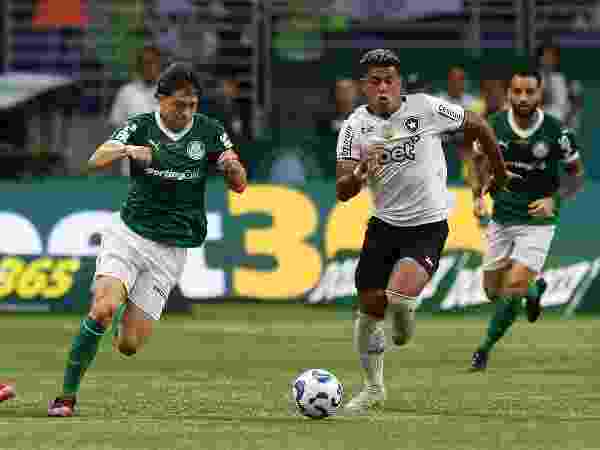 Cesar Greco/Palmeiras