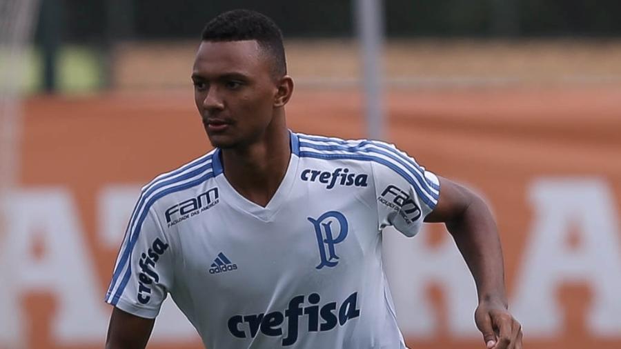 Luan Cândido é um dos destaques das categorias de base do Palmeiras - Cesar Greco/Ag. Palmeiras/Divulgação