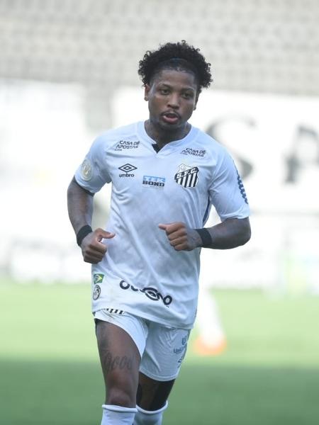 Marinho, do Santos, durante partida contra o Botafogo, pelo Campeonato Brasileiro - Ivan Storti/Santos FC