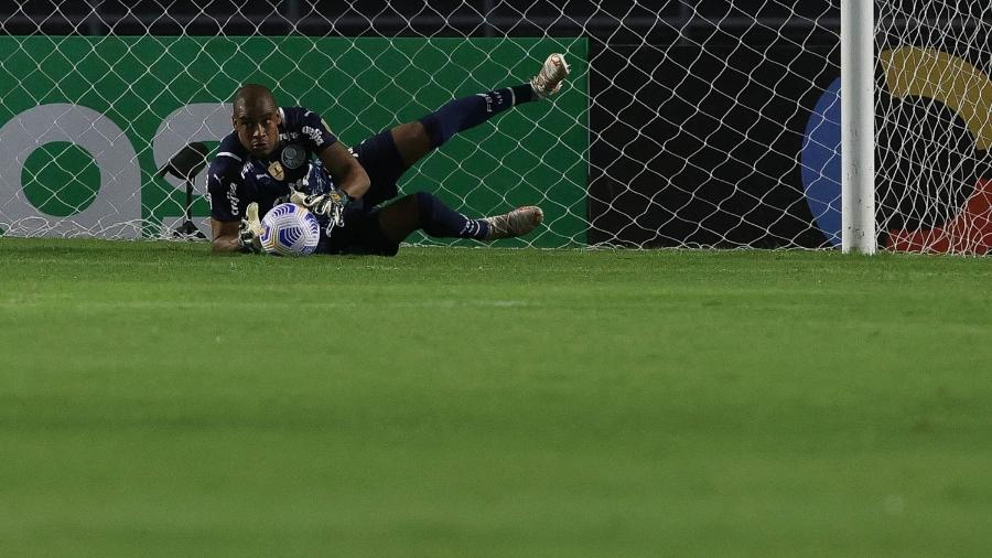 Jogo de hoje! Palmeiras x CRB: onde assistir e prováveis escalações, Futebol