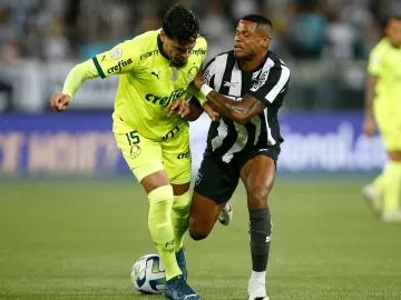 Sorteio joga Botafogo e Palmeiras para a arena que gostamos: o campo 