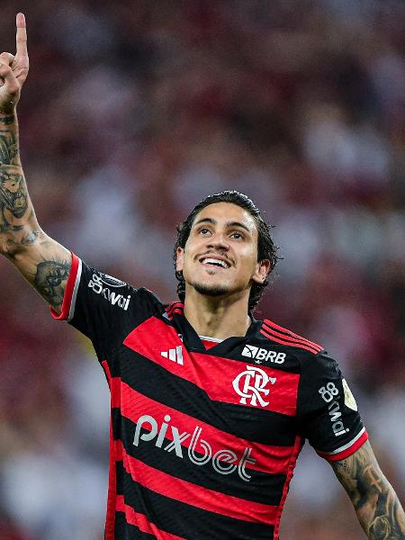 Pedro comemora gol marcado pelo Flamengo