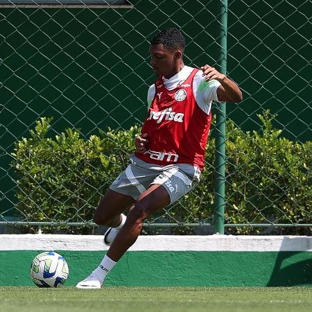 Luis Guilherme, do Palmeiras, durante treino na Academia de Futebol