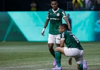 Palmeiras, Bragantino e Flamengo pela liderança. Informações e palpites