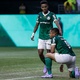 Palmeiras, Bragantino e Flamengo pela liderança. Informações e palpites