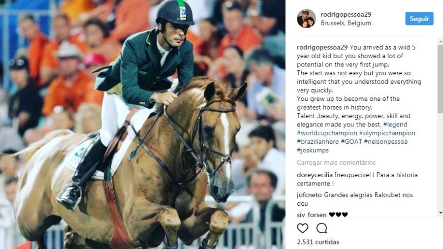 Baloubet, cavalo campeão olímpico com Rodrigo Pessoa em Atenas 2004 - Reprodução/Instagram