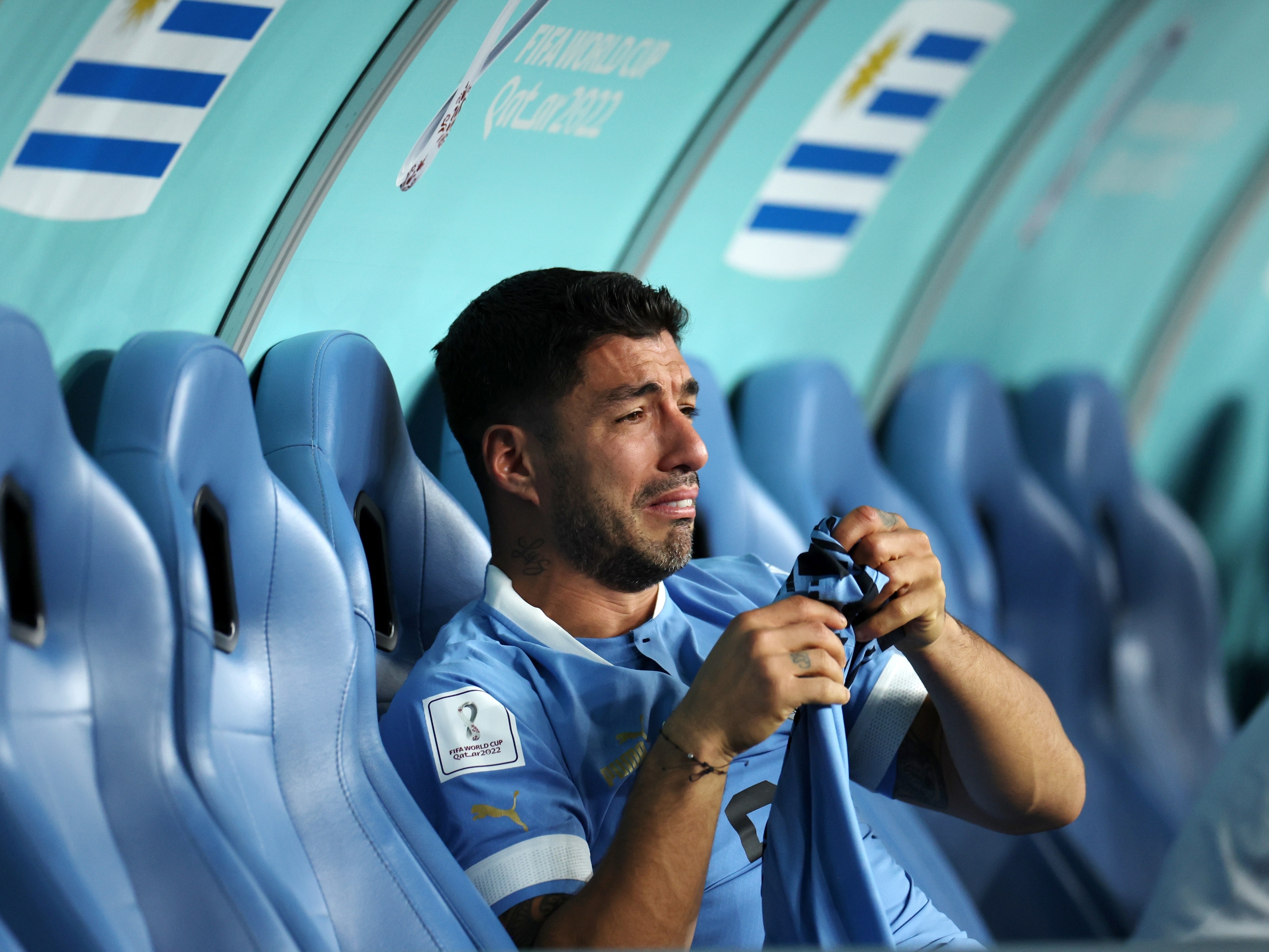 Uruguai decepciona, e América do Sul tem começo ruim na Copa do Qatar -  24/11/2022 - UOL Esporte