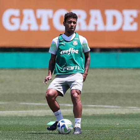 Marcos Rocha durante treino do Palmeiras na Academia de Futebol