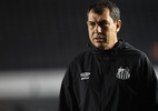 Fator Vila Belmiro vira trunfo do Santos por acesso na reta final da Série B - Reinaldo Campos/AGIF