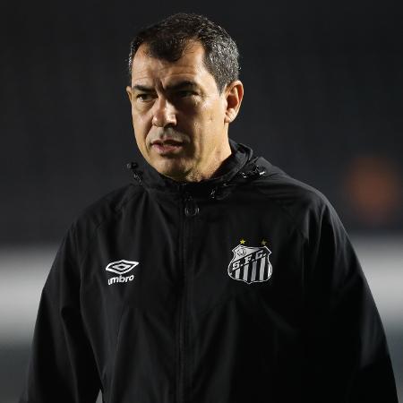 Técnico Fabio Carille durante jogo entre Santos e Coritiba na Vila Belmiro