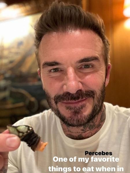 David Beckham, ex-jogador, come um crustáceo raríssimo durante viagem para a Espanha