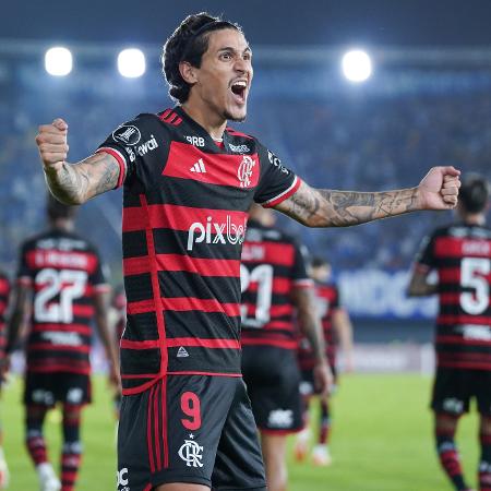 Pedro, do Flamengo, comemora gol marcado contra o Millonarios, pela Libertadores