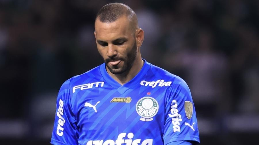 Weverton, goleiro do Palmeiras, durante jogo contra o Botafogo, pela Libertadores