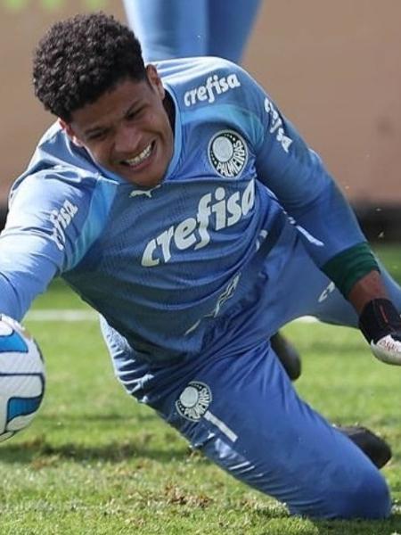 Mateusão é visto como um goleiro de muito potencial no Palmeiras