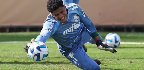Palmeiras negocia renovação com goleiro com experiência internacional
