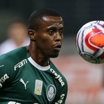 Cesar Greco/Ag. Palmeiras/Divulgação